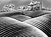 sketch of farm